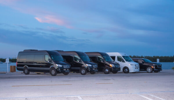 Mercedes-Benz Sprinter Black - Image 9